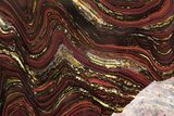 Free-Standing Polished Tiger Iron Stromatolite - Ga #222122-1